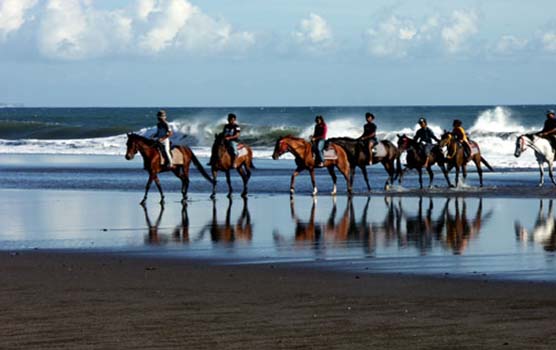 Read more about the article Horse Riding and Jatiluwih Tour
