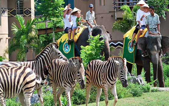 Read more about the article Safari Park and Tanah Lot Tour