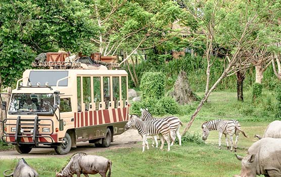 Read more about the article Safari Park and Uluwatu Tour